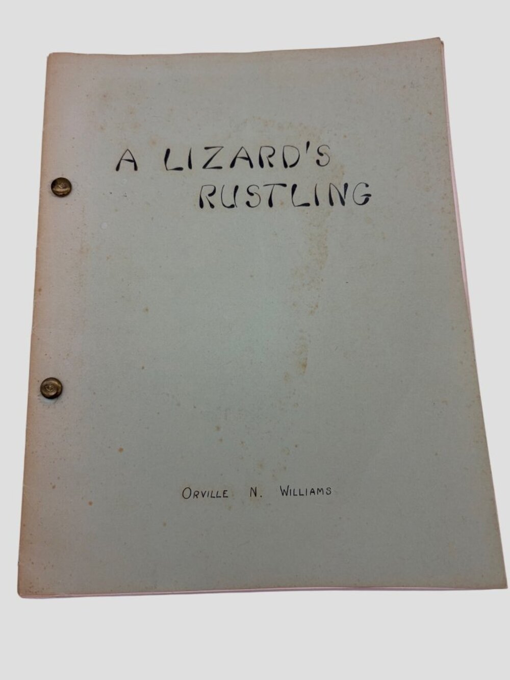 A Lizard's Rustling Orville N Williams Vintage Poetry Typescript Manuscript Book